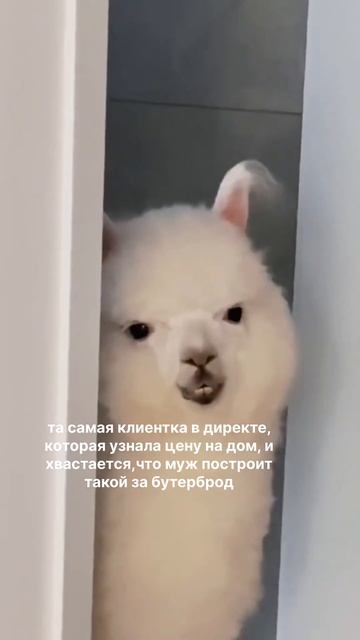 9 октября 2025 г.