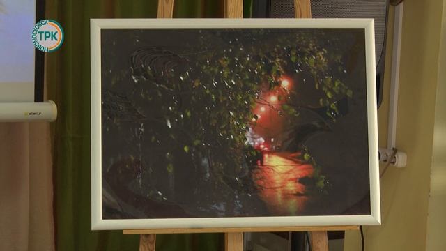 В Новомосковске открылась новая фотовыставка смотреть онлайн