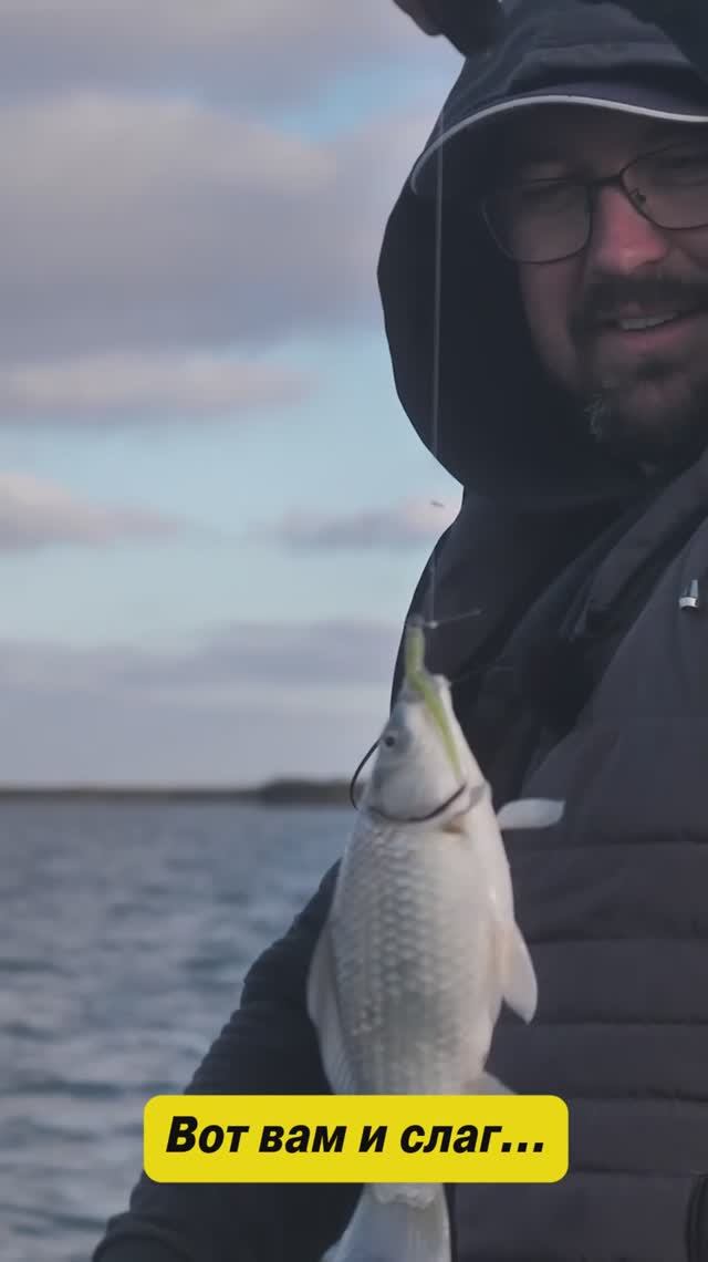 Ловля с бомбардой: лёгкая приманка — дальний заброс!