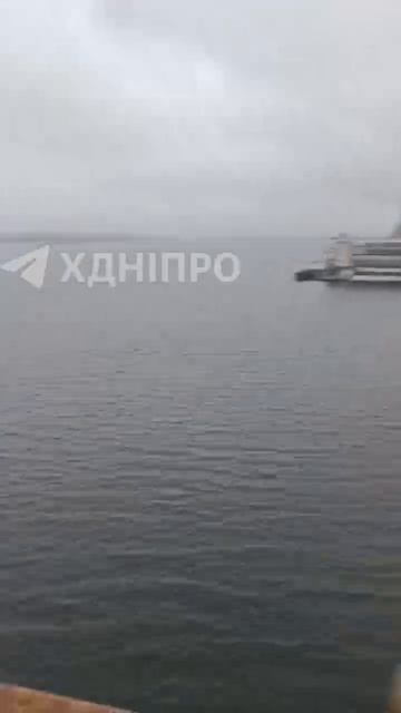 редкая птица дотолкает троллейбус до середины Днепра смотреть онлайн