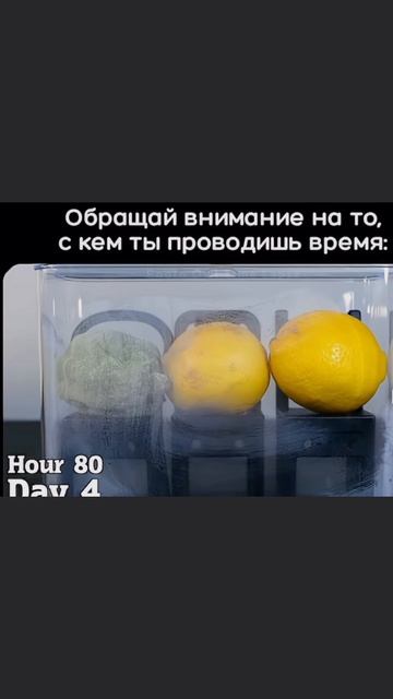 С кем ты проводишь время? #деньги #успех #инвестиции ссылка ТГ Https://t.me/BelyakovAleksey