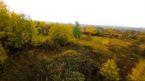 Поля осеннего попкорна