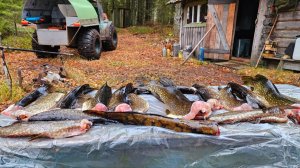 С Батей на Кордон. 10 Дней в Лесу. Охота и Рыбалка Осень 2025г. Часть3