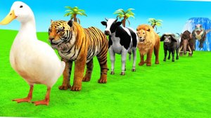 Мультики про животных. Животные: гусь, горилла, тигр, бегемот. Смотреть онлайн Мультики для детей .