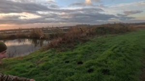 В поисках утки