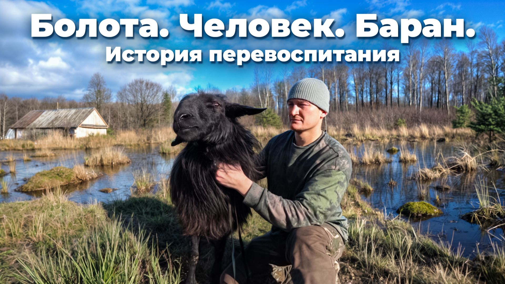 НЕПРОСТАЯ ЖИЗНЬ ОДНОГО ЧЕЛОВЕКА в БОЛОТИСТОЙ МЕСТНОСТИ. БАРАН КОШМАРИТ ВЕСЬ ХУТОР!!! №367 смотреть онлайн