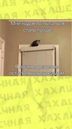 мемы как мемы