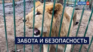 ВЕСТИ 24 Санкт-Петербург от 20.11.2025