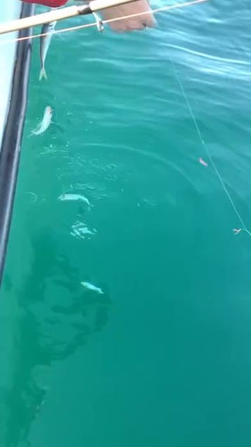 Когда в лодке неудобный длинный спиннинг. смотреть онлайн