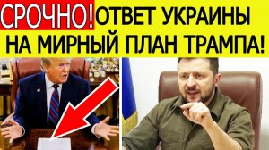 Срочно! Зеленский ответил на новый мирный план США по Украине