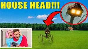 МОЙ ДРОН СНЯЛ HOUSE HEAD — МЫ НЕ ДОЛЖНЫ БЫЛИ ЭТО УВИДЕТЬ!