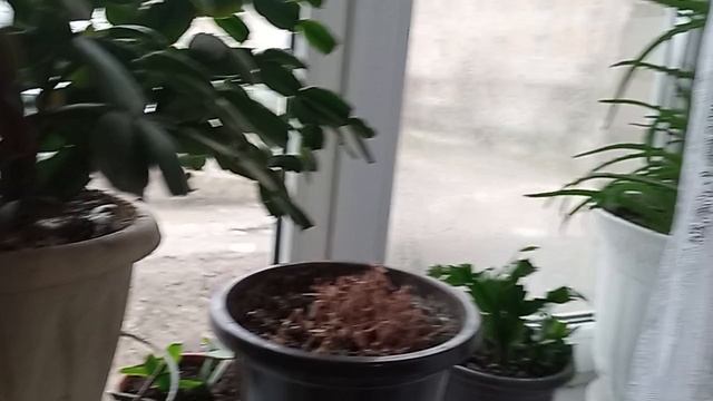 20-11-2025 делаю дела стирка смотреть онлайн