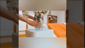 Обзор умного очистителя воздуха Xiaomi Mijia Air Purifier 6 Dual Core (AC-M34-SC)