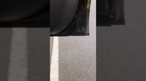 petal_20251120_175853.mp4