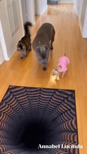 хотел использовать возможность #shorts