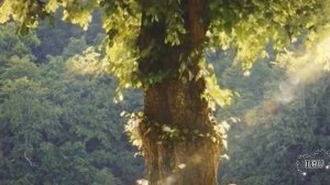 Слушать рассказ  - Исповедь в письме -  Удивительные истории из жизни