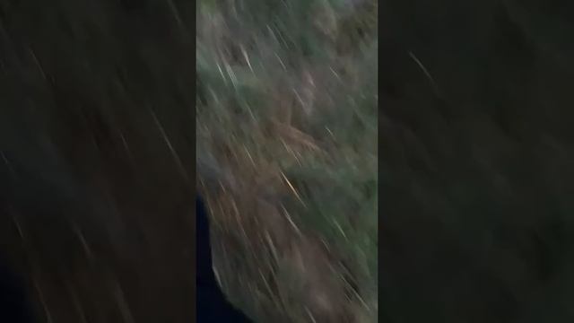 фильм опасная волга 1 серия смотреть онлайн