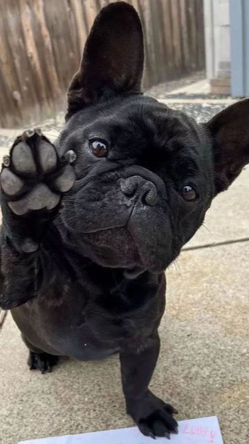 Бульки. смотреть онлайн