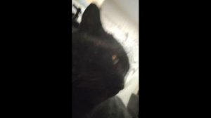 Давайте из этого сделаем мем