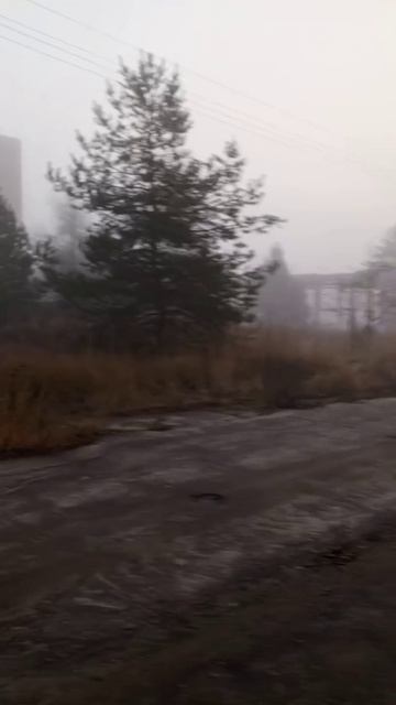 Серебряный туман над Silent Hill проплывает