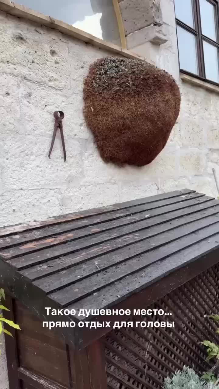 ⚡️ Хочу рассказать вам КОЕ-ЧТО о моём партнёре по клубу путешественников… смотреть онлайн