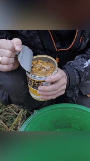 Ловля леща на реке, на зерновой микс!