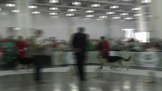 Сравнение открытого класса смотреть онлайн