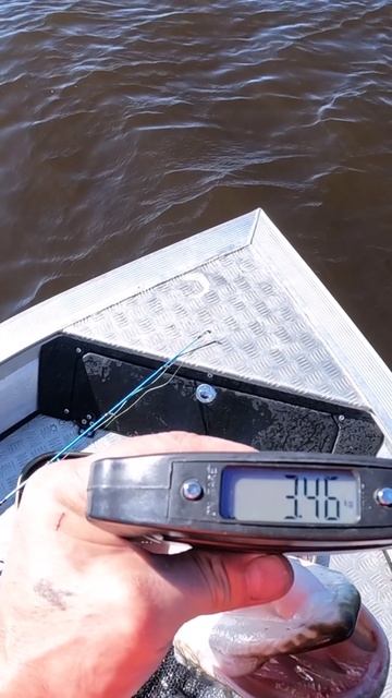 Отлично на рыбалке это замечательно! смотреть онлайн