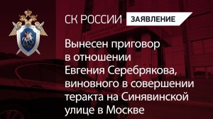 Вынесен приговор в отношении Е.Серебрякова, виновного в совершении теракта на Синявинской улице