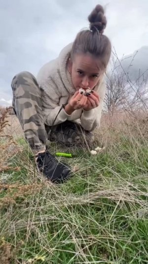 Пошли в лес за грибами