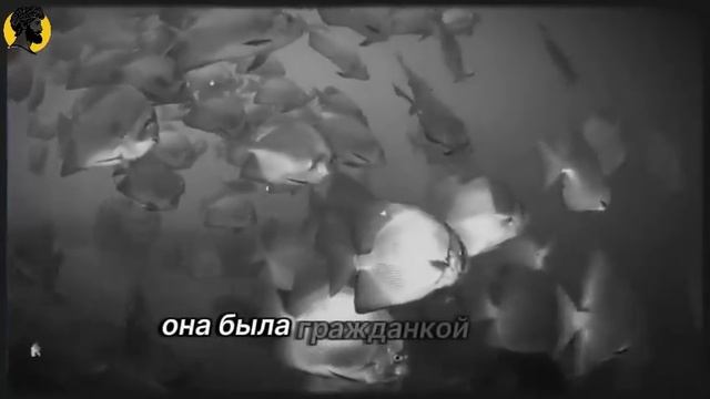 (73 УРОК) Что происходит в голове женщины, когда ты уходишь! СТОИЦИЗМ смотреть онлайн