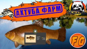 Фарм на Ахтубе. Р. Ахтуба. Два часа ловли.  Russian Fishing 4. рр4. Русская рыбалка 4