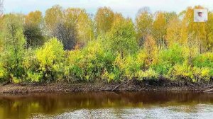 Мы часто в жизни сожалеем. Офигенная песня