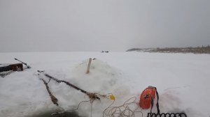 Ловля налима на Енисее. Отчёт с рыбалки. 24