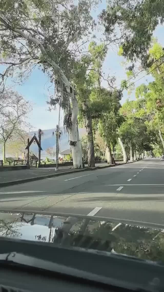 Абхазия, дорога по городу-курорту Гагра (20 ноября, ОСЕНЬ-2025) смотреть онлайн