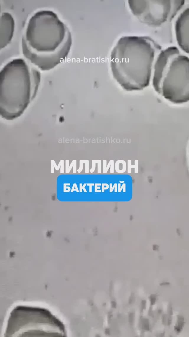 Миллион бактерий в крови. Съемки под микроскопом. Семейный доктор Алена Братишко смотреть онлайн