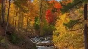 Песня «Осень»