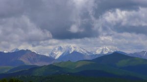 Лето, горы, цветы