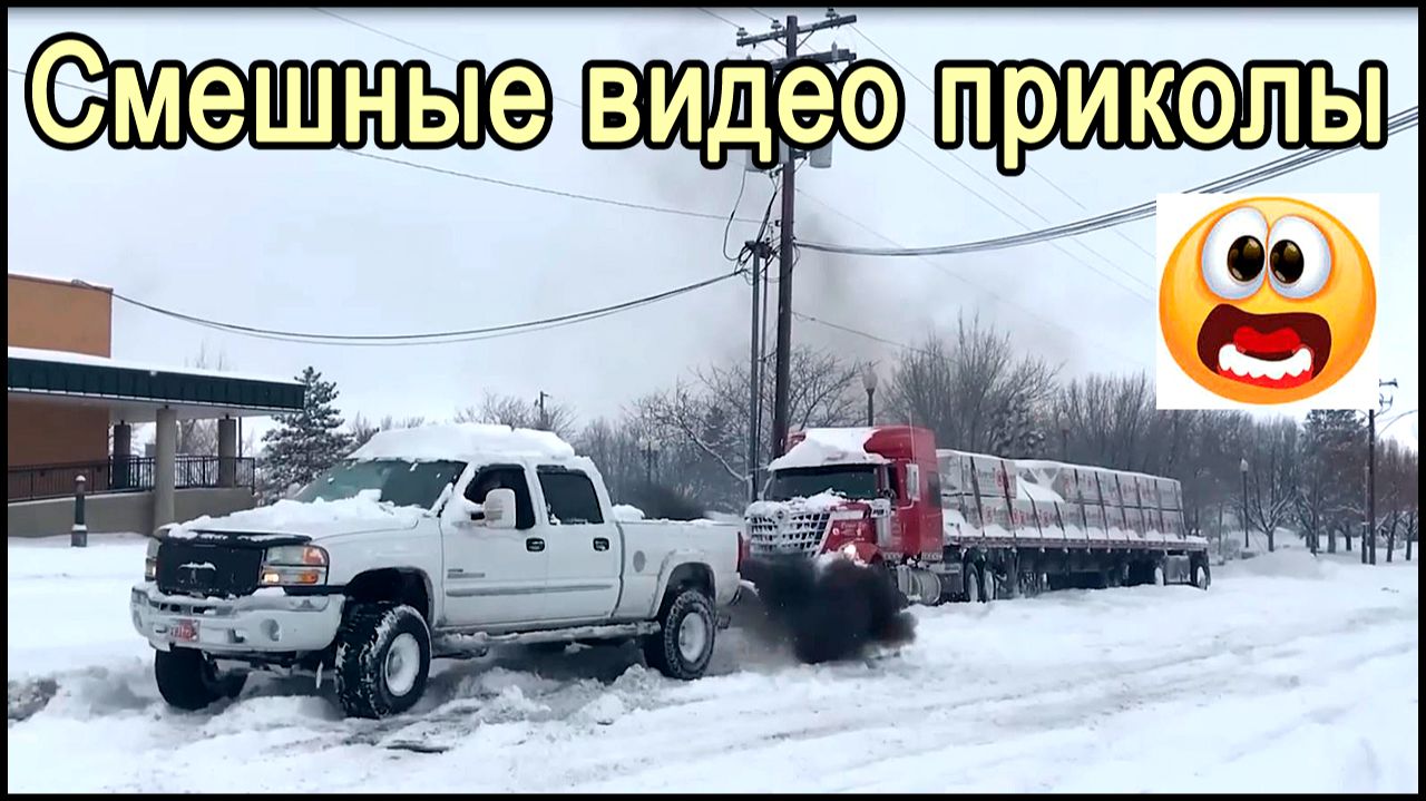 Смешные видео приколы смотреть
