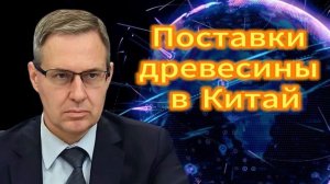 Александр Артамонов  Поставки древесины в Китай 20.11.2025