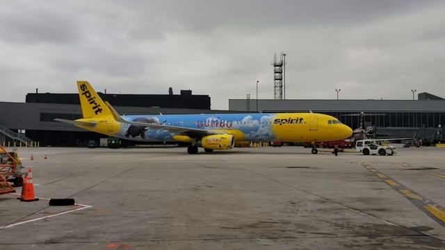 Spirit Dumbo Disney Film Livery . смотреть онлайн