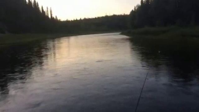 Борус 2018 часть 1