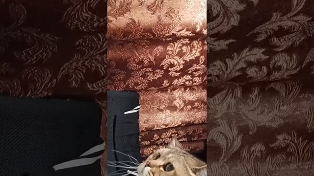 а̤̮с̤̮м̤̮р̤̮ смотреть онлайн
