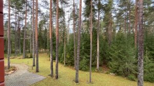 Ленинградская обл.,Приозерский р-н,п. Сосново,ул. Медовая,д. 9