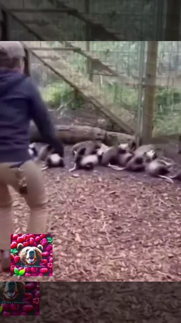 Когда начальник зашол в офис смотреть онлайн