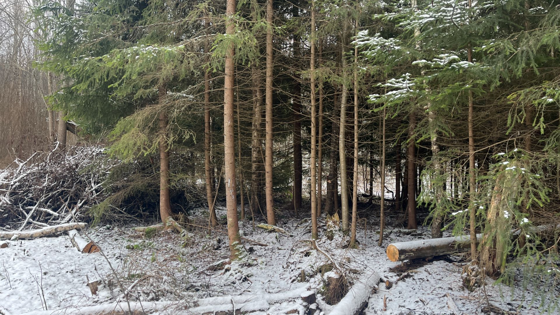 Земельный участок Питкяранта 15 соток смотреть онлайн