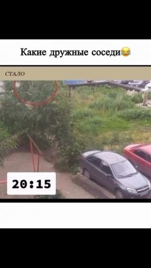 Не скучные, да