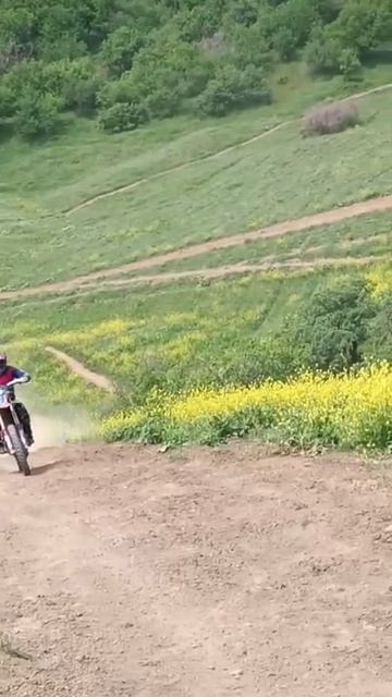 2025_05_08_18_53_IMG_1071 смотреть онлайн