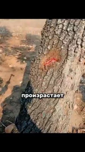 Всё ещё растите яблоки с грушами? 🤔 Ну-ну 🙄 Время подумать и переиначить, может, что-то в с/х? 😳