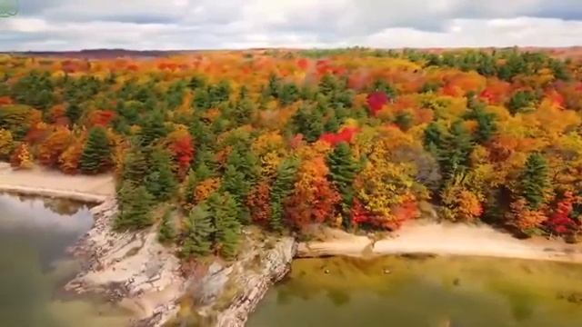 Богородица